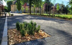 Park kieszonkowy, ścieżka piesza. Na pierwszym planie młode krzewy. Dalej drzewa, w tle kamienica.
