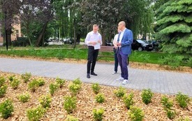 Dw&oacute;ch mężczyzn stojących na chodniku, z boku ławka. Na pierwszym planie młode zasadzone hortensje. W tle drzewa, młode krzewy i fragment kamienicy.