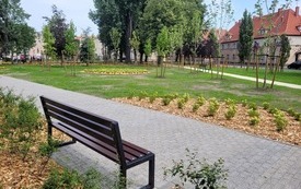 Park kieszonkowy, na pierwszym planie ławka i chodnik. Rosnąca trawa, posadzone drzewa i młode krzewy. W tle widać zabudowę wielorodzinną i ulicę.
