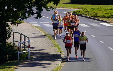 Grupa os&oacute;b w strojach sportowych z numerkami na koszulkach biegnie ulicą, po lewej stronie zieleń drzew i barierka. Zdjęcie zrobione z lotu ptaka.