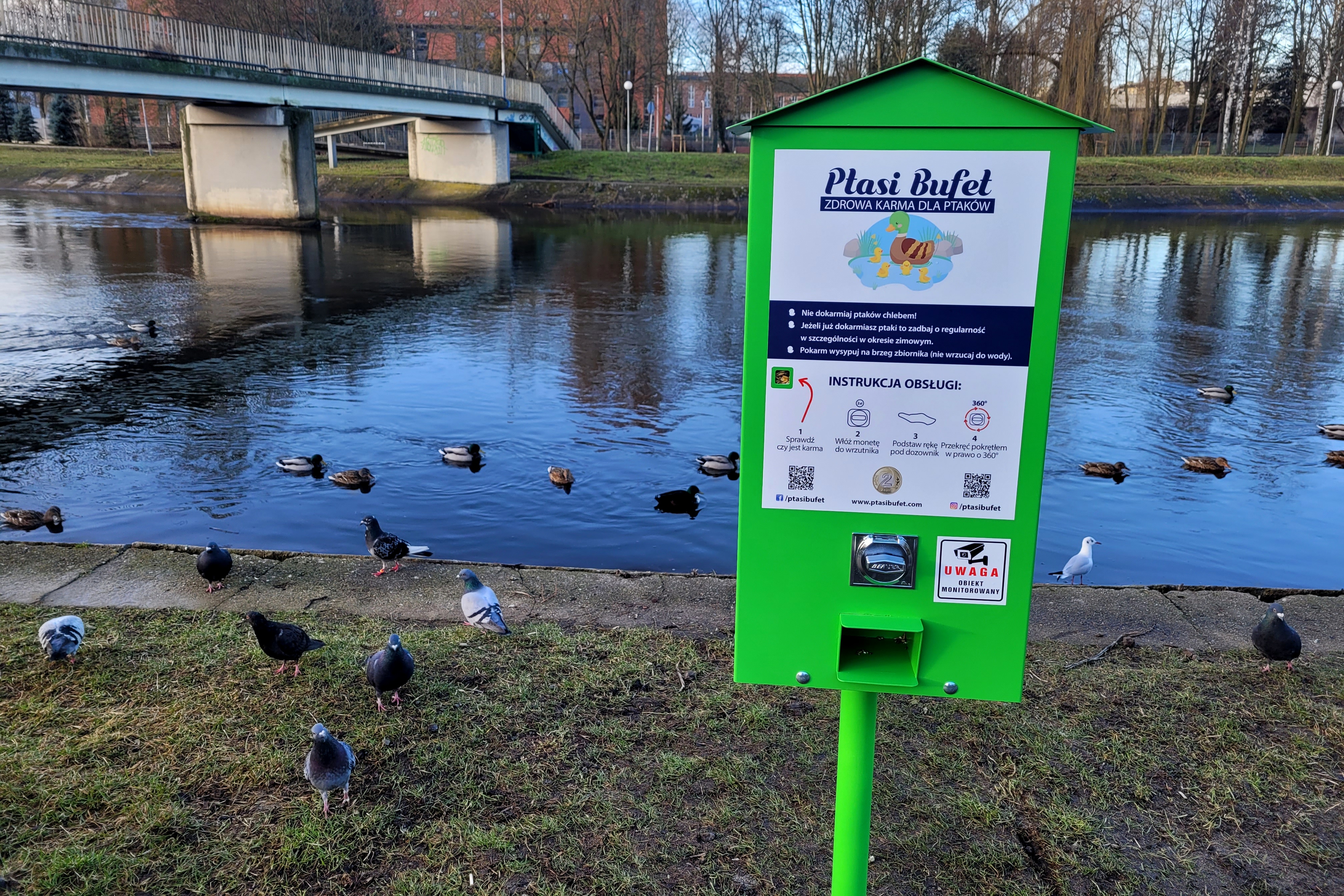 Rzeka i nabrzeże, po lewej stronie kładka nad rzeką. Po drugiej stronie rzeki widać fragmenty zabudowań, drzewa, trawniki. Po prawej stronie spacerowicz. W centrum kadru budka - automat z karmą dla ptaków, wokół automatu kaczki i gołębie. Na urządzeniu nazwa "ptasi bufet" i plansza edukacyjna czym wolno, a czym nie należy karmić ptactwa wodnego i lądowego.