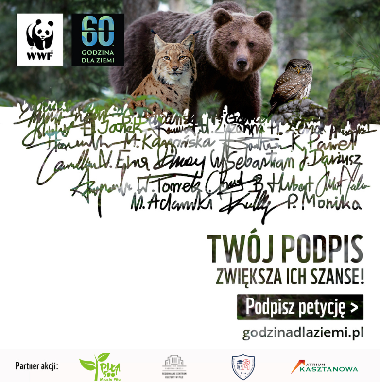 plakat