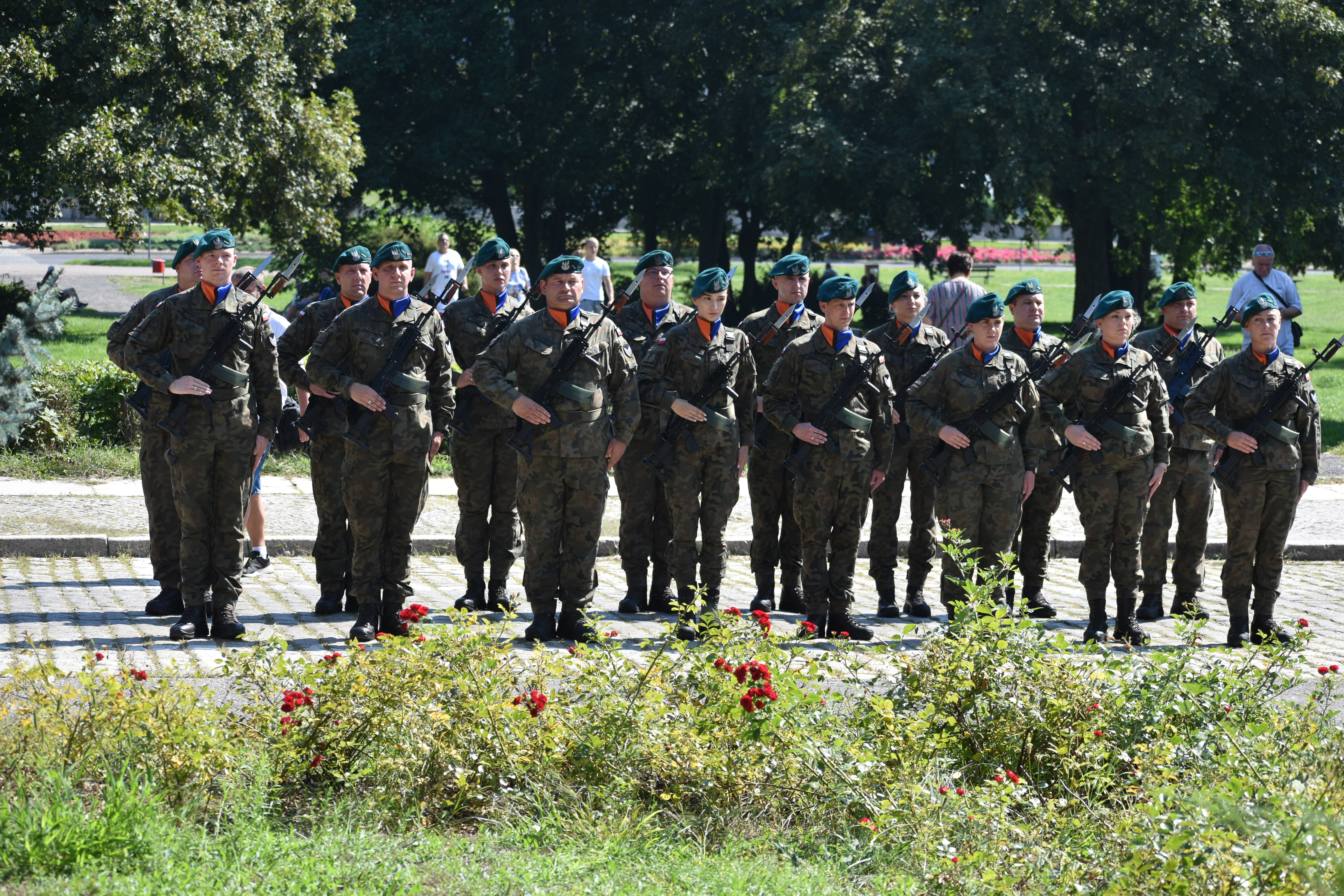 żołnierze stoją w&nbsp;dwuszeregu, trzymają broń na&nbsp;ramieniu.