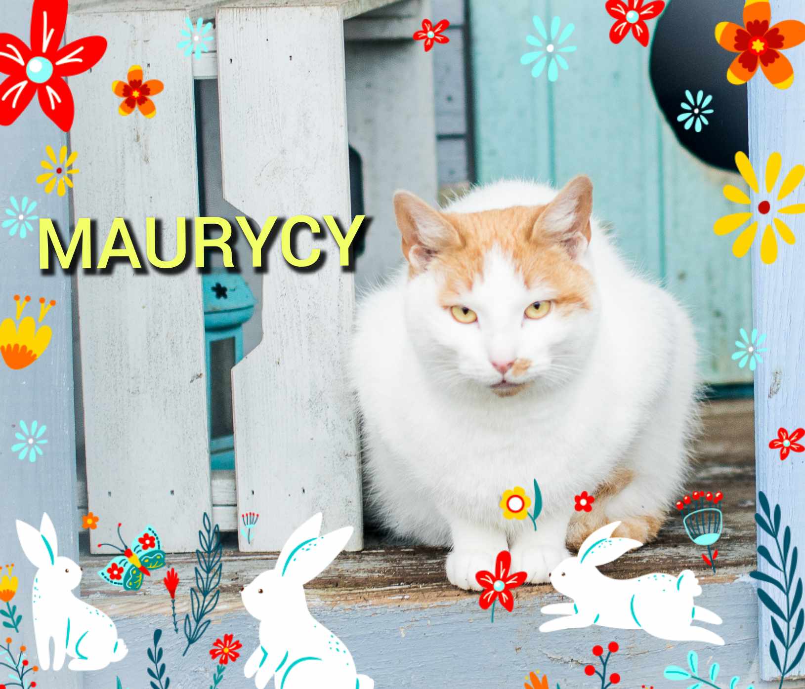 Maurycy