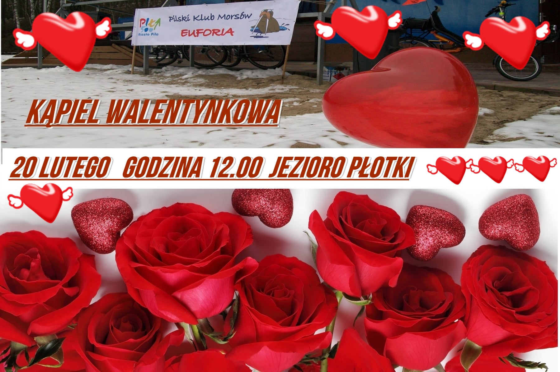 Bukiet róż, serca, serca ze skrzydłami, napis: Kąpiel Walentynkowa, 20 lutego godzina 12:00, Jezioro Płotki, baner Pilskiego Klubu Euforia z&nbsp;morsem i&nbsp;logo Piły