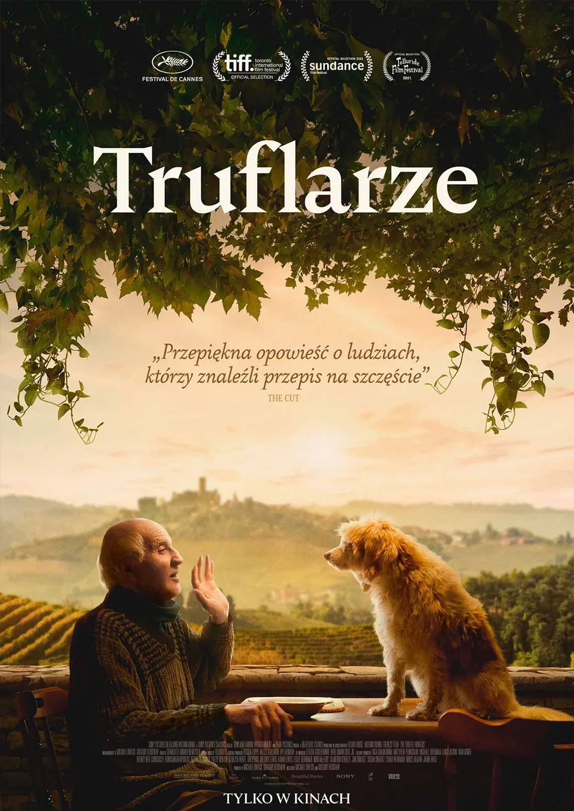 WDK: Truflarze Truflarze, przepiękna opowieść o ludziach, którzy znaleźli przepis na szczęście. Na pierwszym planie mężczyzna, na stole przed nim siedzi pies. W tle piękne krajobrazy, sady, rozciągające się przestrzenie zielone.