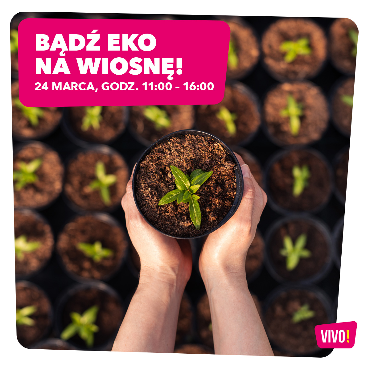 EKO_WIOSNA_VIVO