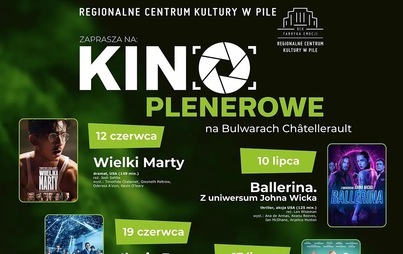 Zdjęcie do KINO PLENEROWE: Dalej jazda 2