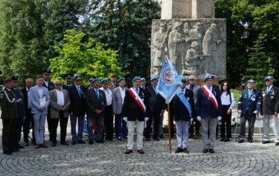 Zdjęcie do Święto żołnierzy misji pokojowych