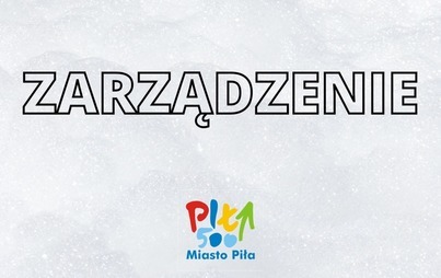 Zdjęcie do Mieszkańcy Motylewa wybrali radę i zarząd osiedla