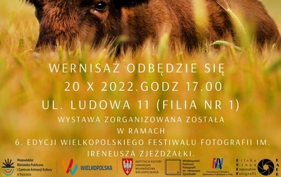 Zdjęcie do Wystawa fotografii LAS