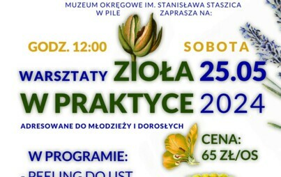 Zdjęcie do Zioła w praktyce|warsztaty dla dzieci i dorosłych