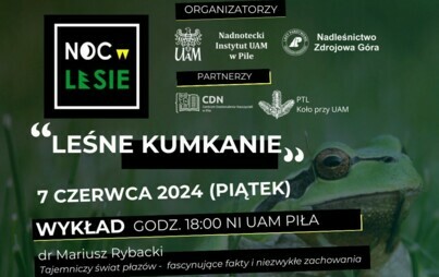 Zdjęcie do Noc w lesie