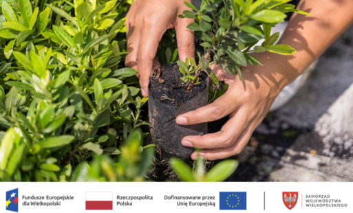 Zdjęcie do Przebudowa zieleni wzdłuż Bulwar&oacute;w Europejskich w Pile oraz utworzenie korytarzy zieleni