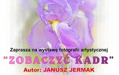 Zdjęcie do Wystawa: Zobaczyć kadr